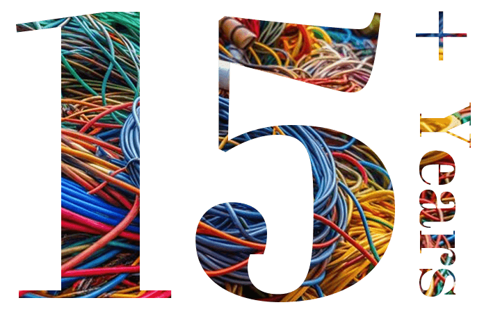 Professional Level 2 Electrical Work